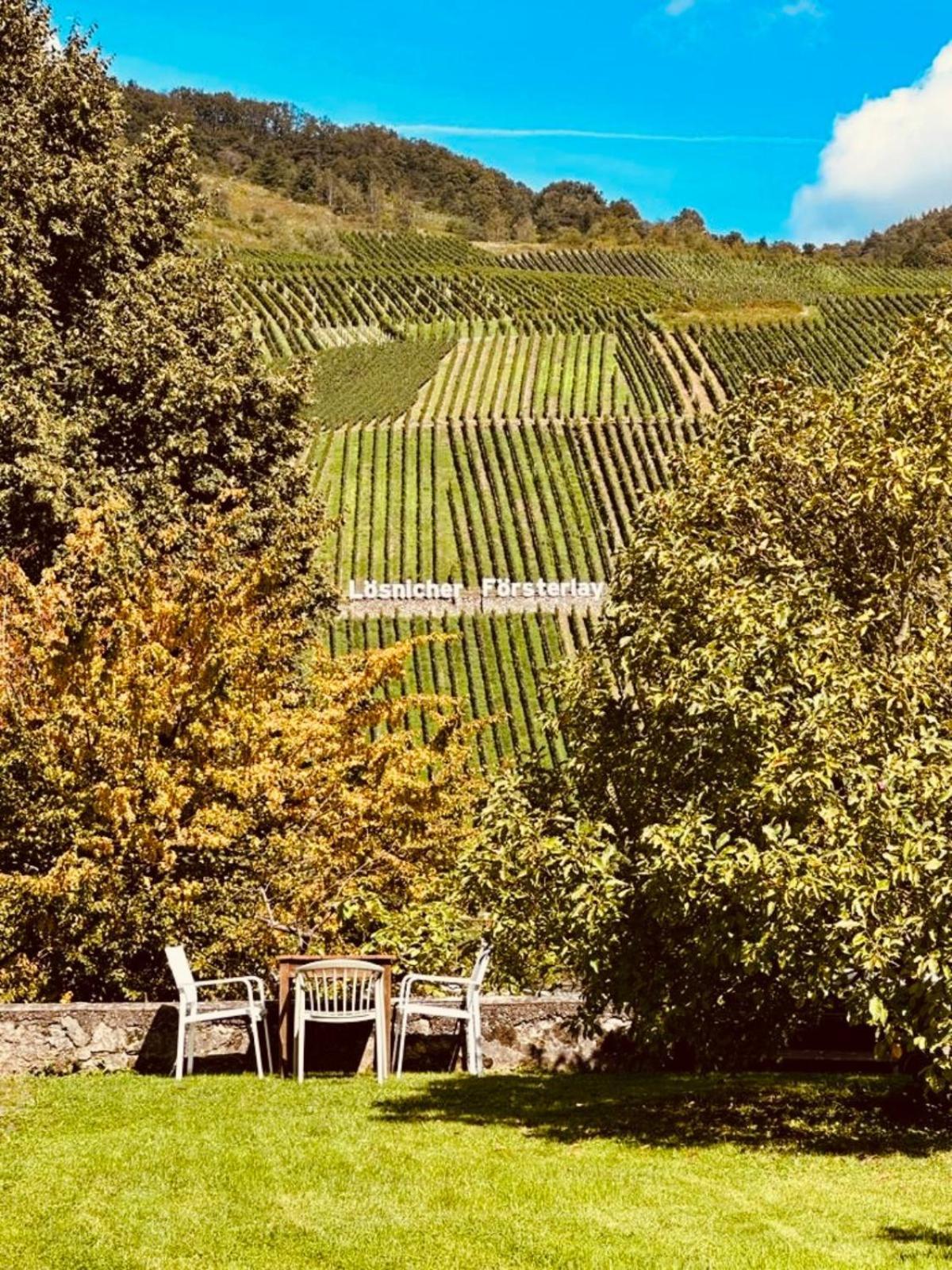 Lösnich Gut Foersterlay - Exklusive Boutique Apartments Im Historischen Winzerhaus Direkt An Der Mosel מראה חיצוני תמונה